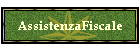 AssistenzaFiscale